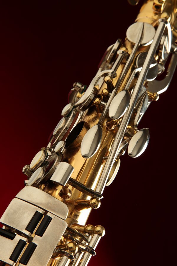 Left palm and pinky keys of a Leblanc System presentation alto